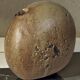 Pebble soliflore vase in stoneware / La Borne / Puisaye