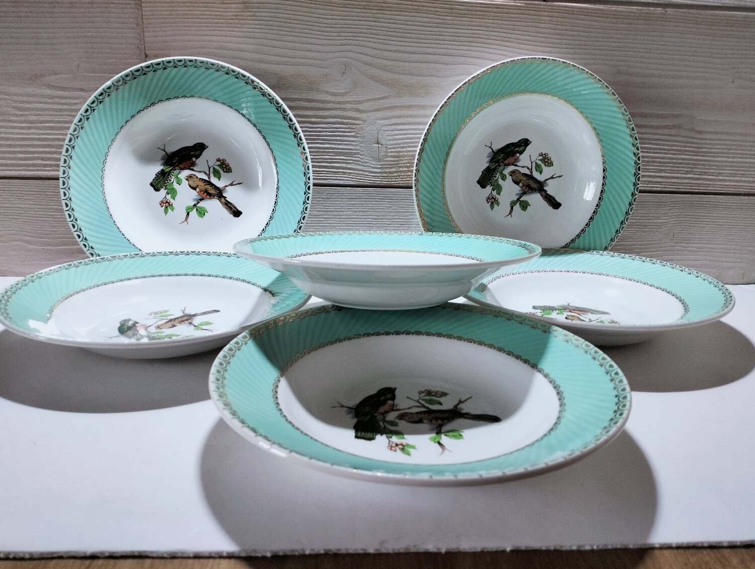 Lot de 6 assiettes oiseaux