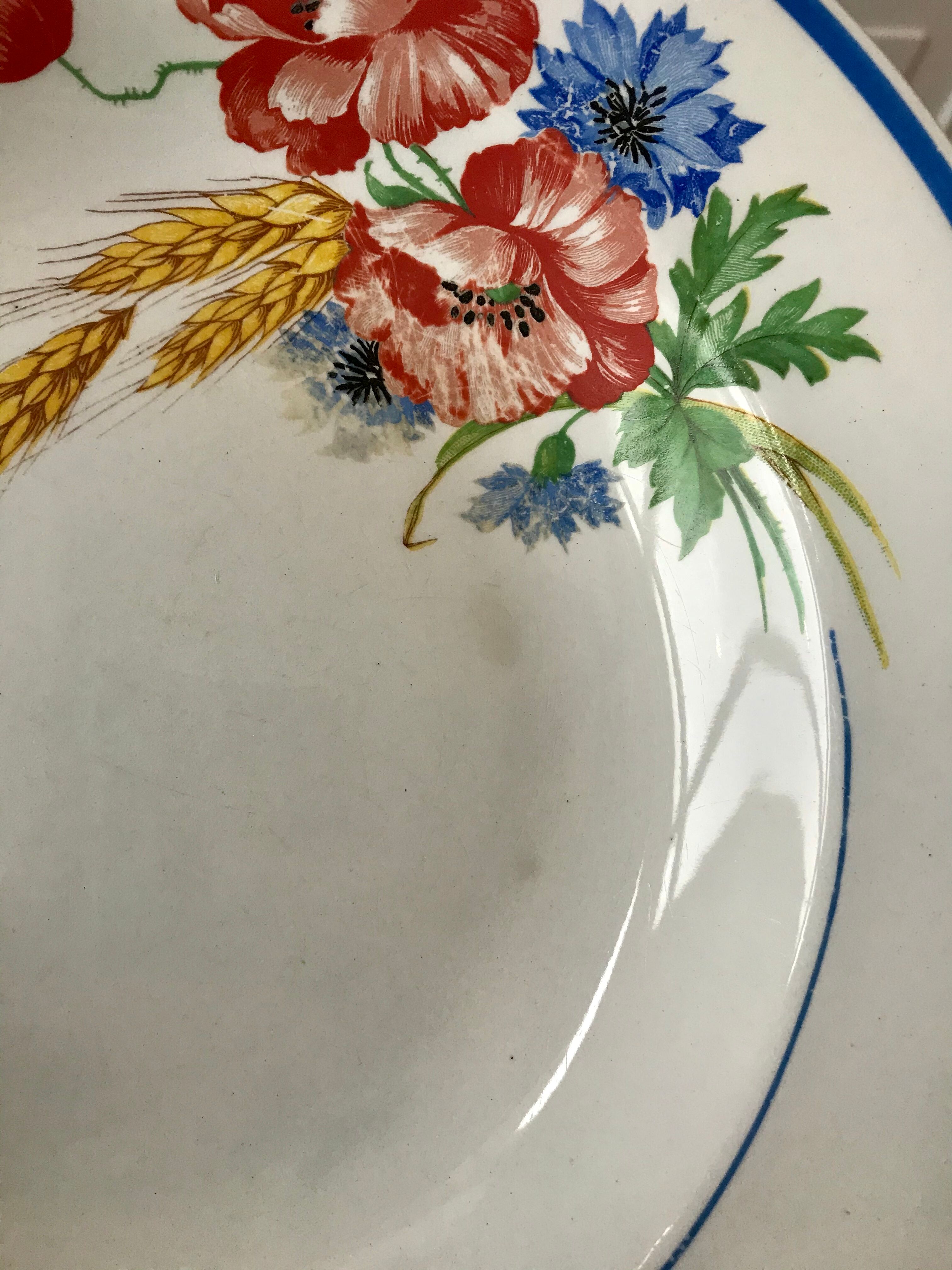 Lot of 8 hollow plates Salins model Champêtre