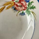 Lot of 8 hollow plates Salins model Champêtre