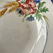 Lot of 8 hollow plates Salins model Champêtre