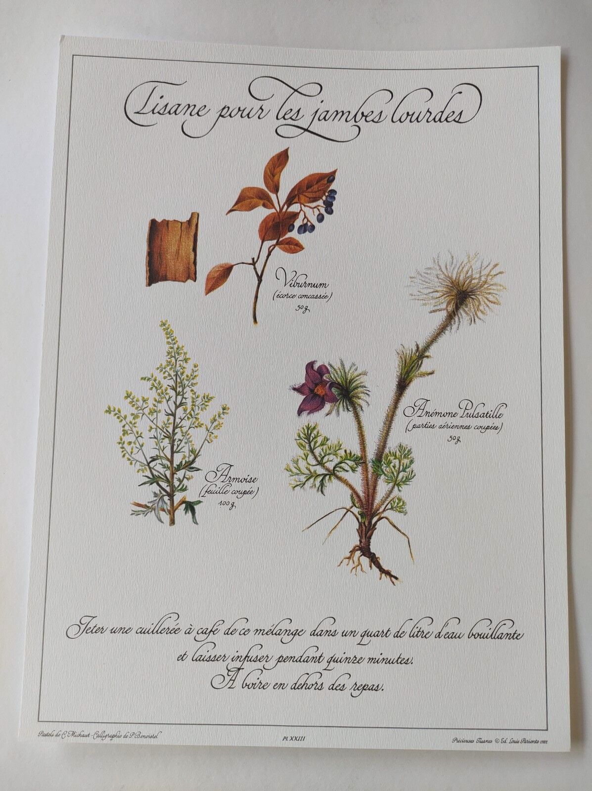 Botanical engraving -Herbal tea for heavy legs- Illustration of medicinal plants and herbs