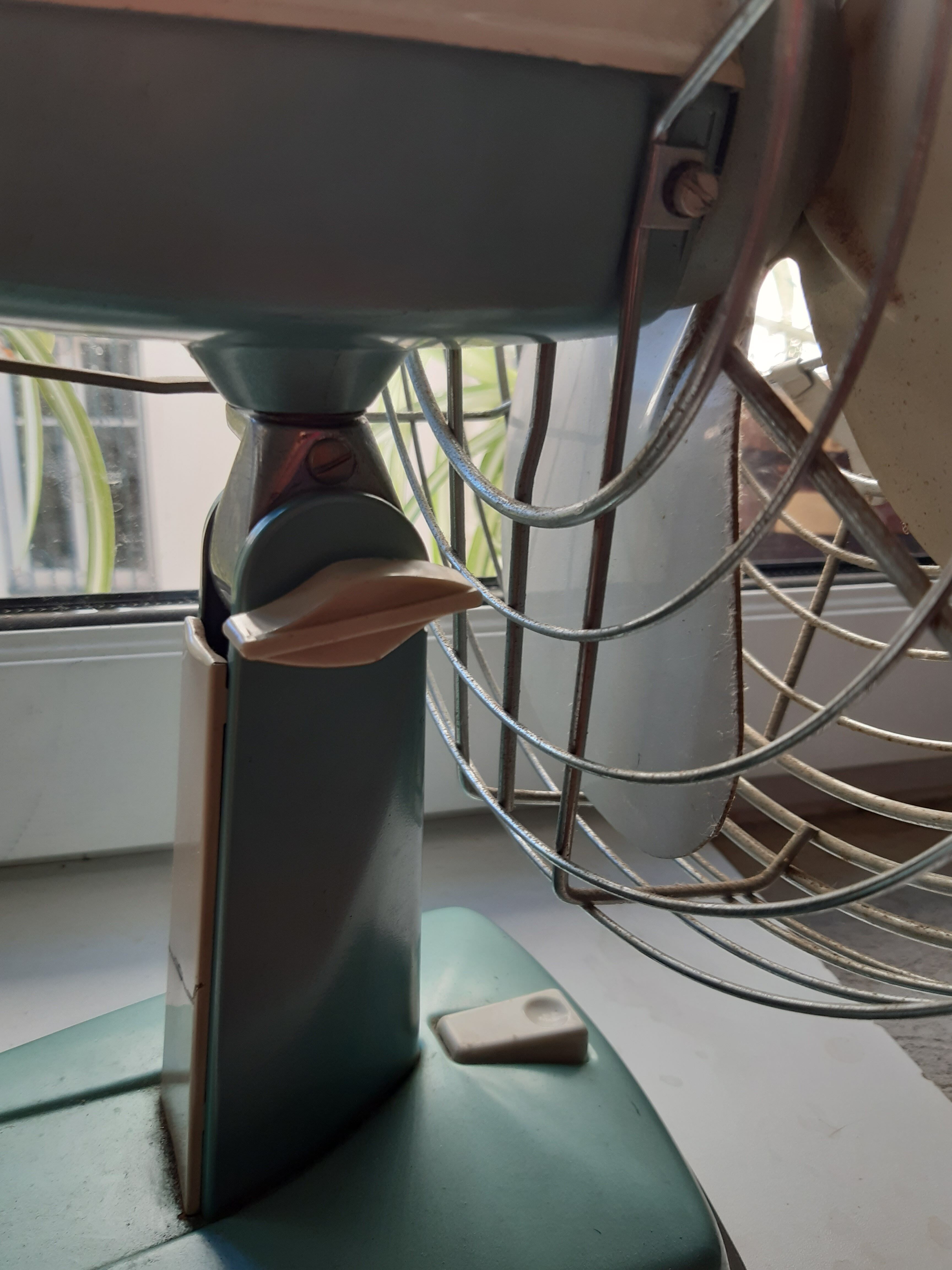 Fan indola