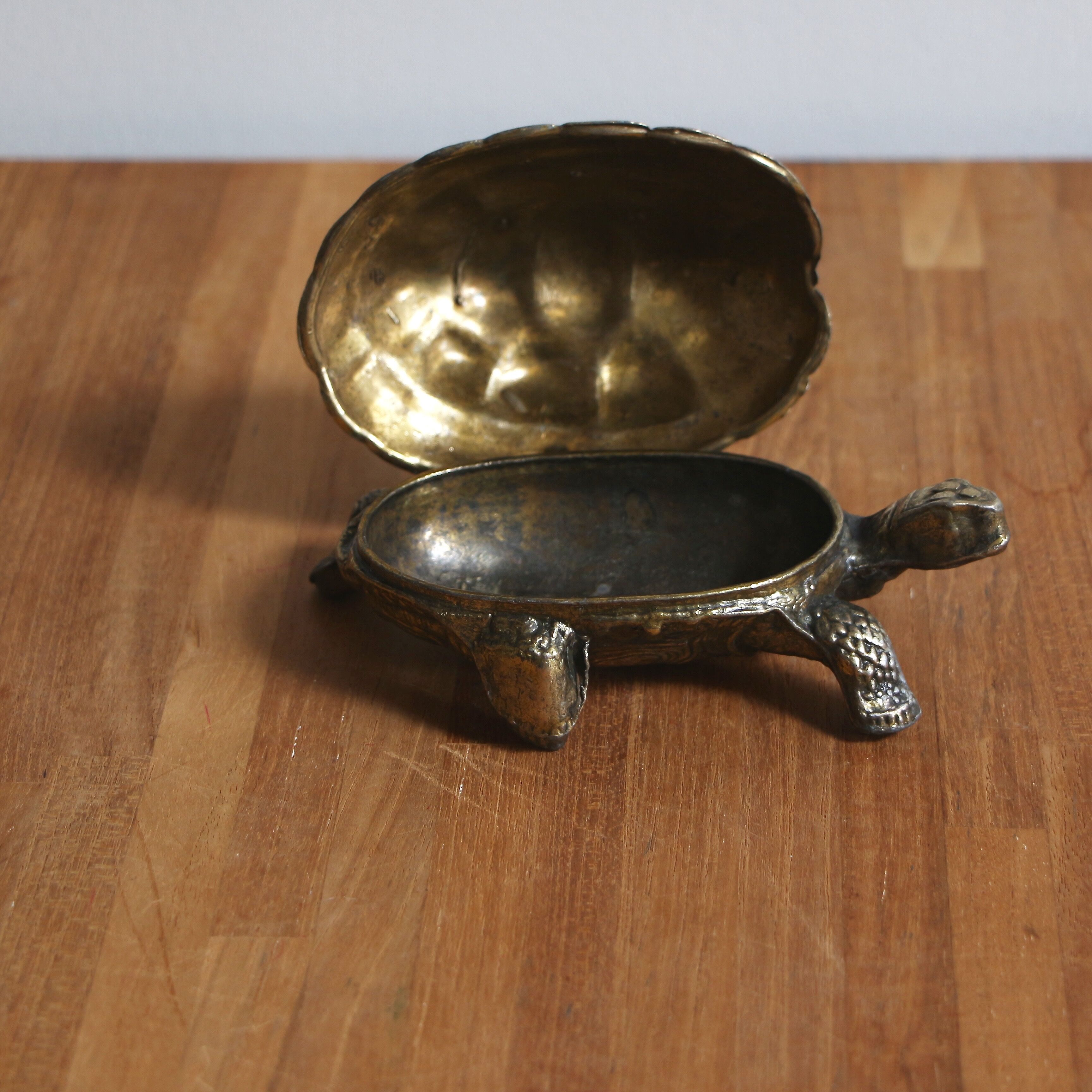 Boîte tortue