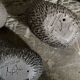 Danish hedgehogs by Ellen Karlsen