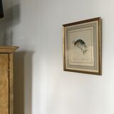 Ornithological nightingale board