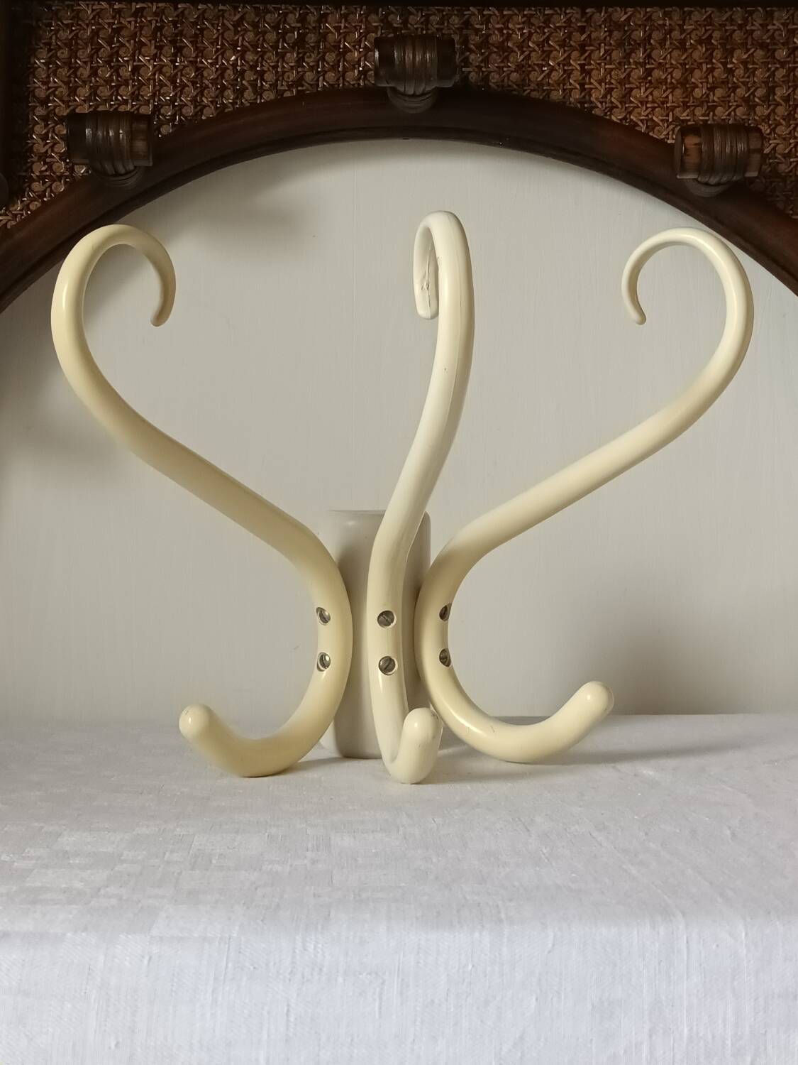 Wall-mounted parrot coat rack