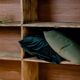 Factory locker cabinet, wood and green