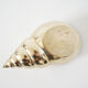 Vintage brass shell ashtray