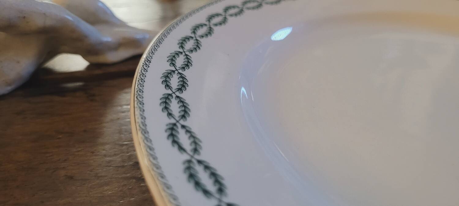 Sarreguemines iron earth plate