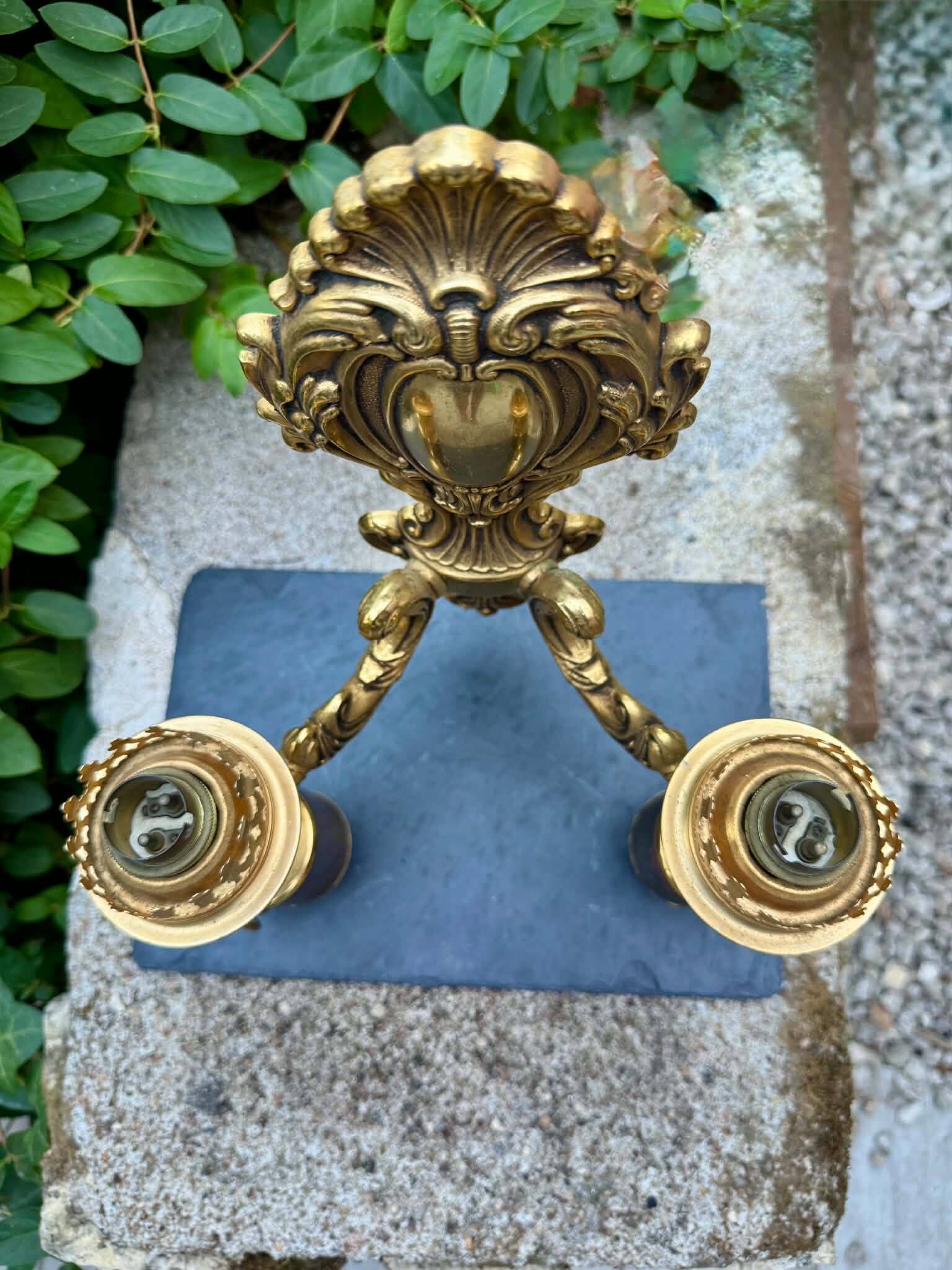 Wall light with 2 branches in baroque brass lion design.