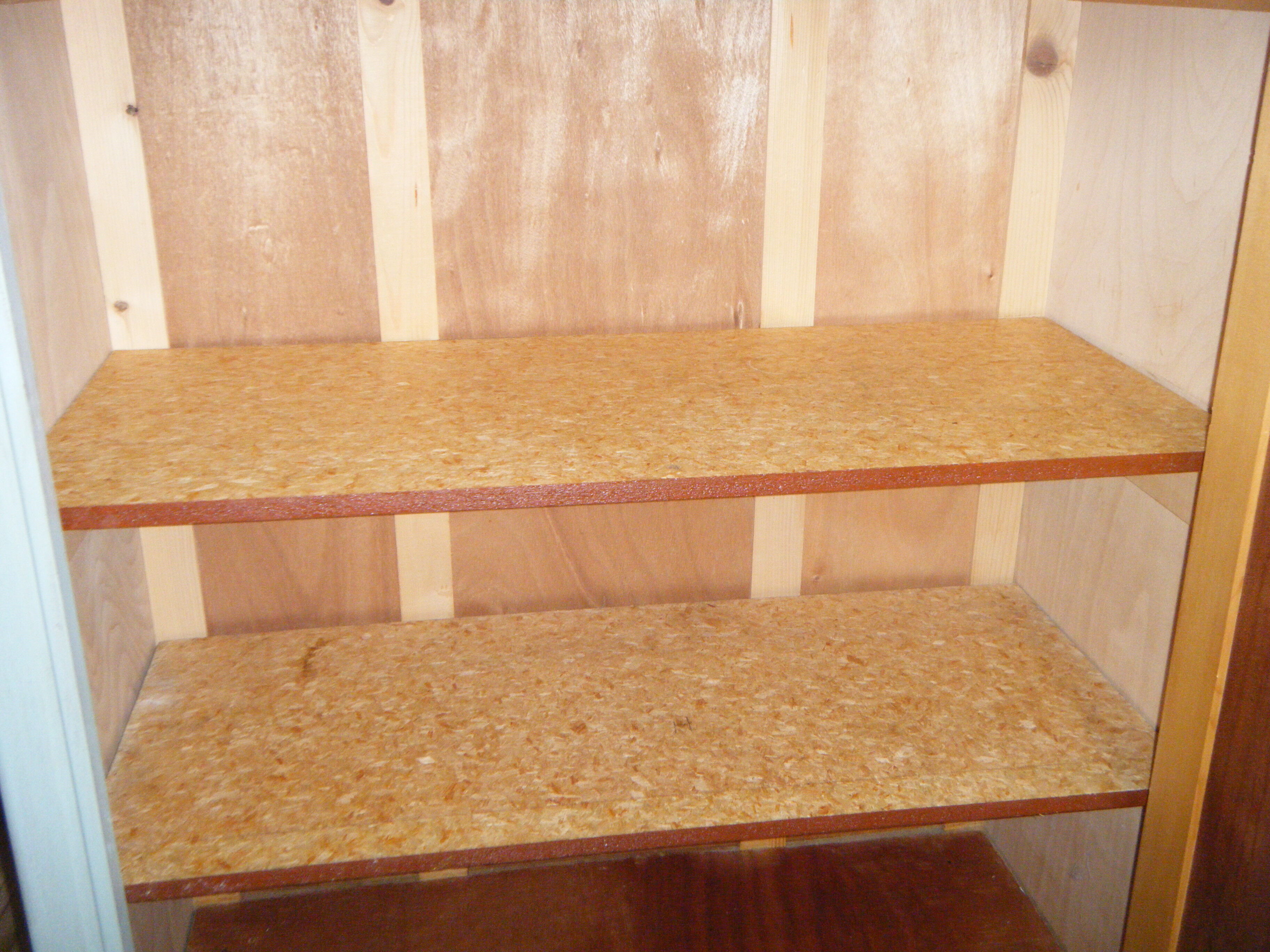 wardrobe Parisian green sdcruisingmom