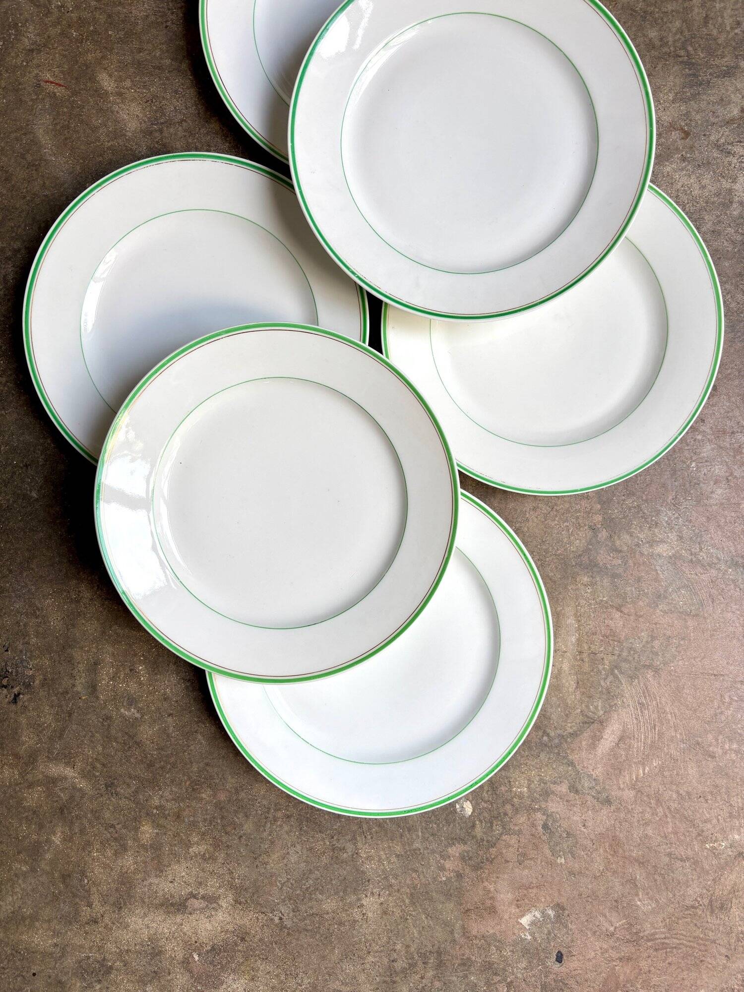 6 Ed. Honoré dinner plates in pale green and gold porcelain
