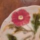 Old slip plate - Choisy le roy flower decoration