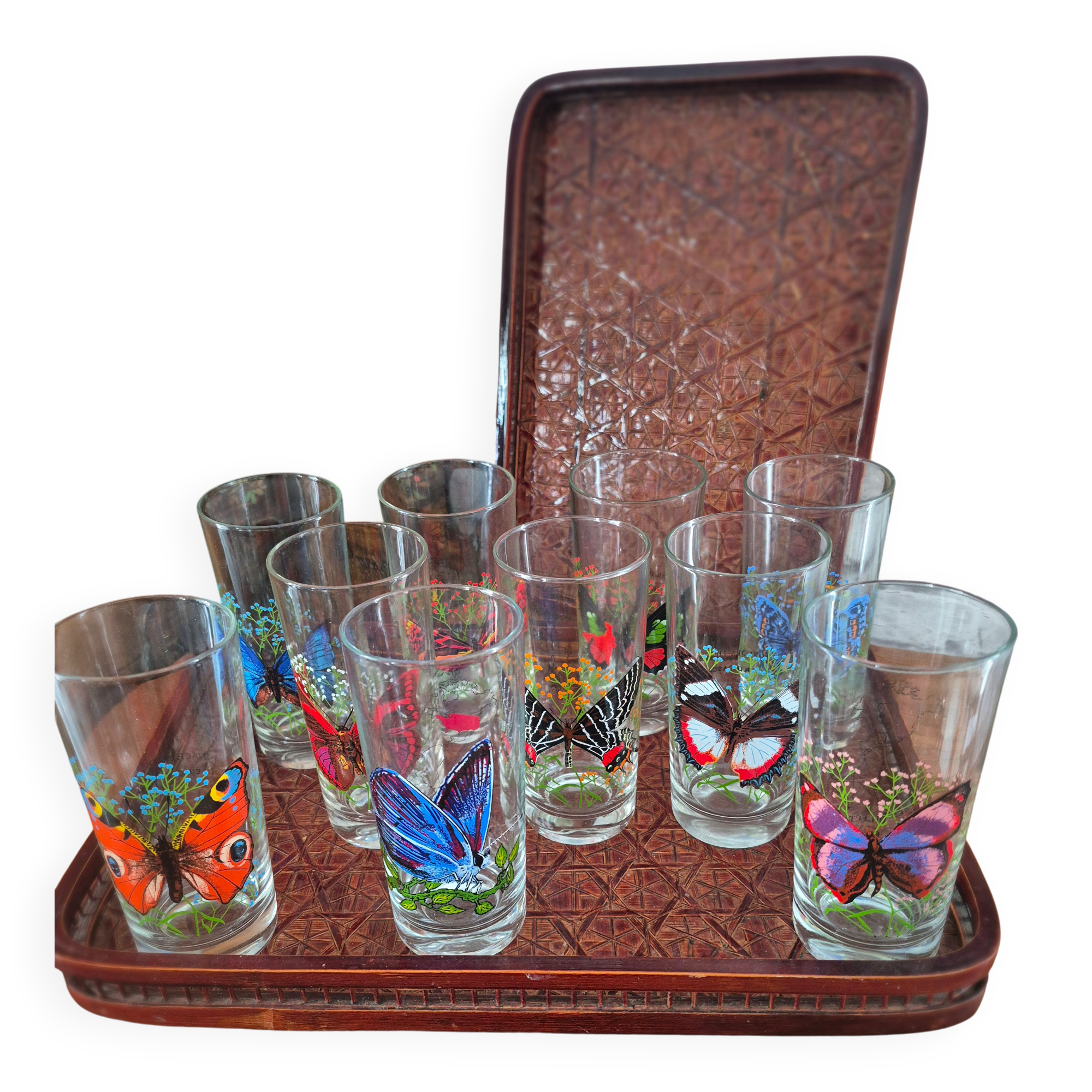 Set of 10 butterfly glasses from the Reims glassworks, vintage.