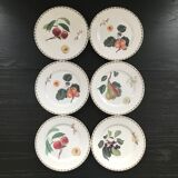 Lot of 6 plates botanical decoration