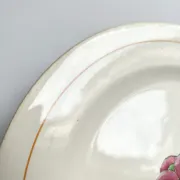 Iron earth plate Salins model without worry old cream flowers
