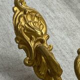 Antique bronze coat hooks