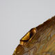 Brass serving tray XX'