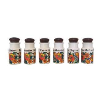 Series of 6 spice pots in 70s opaline