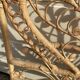 Rattan headboard Peacok 2 seats