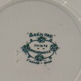 8 hollow plates Anemone pattern of St Amand green gray color