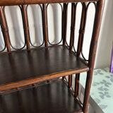 Rattan shelf / bookcase with cabinet