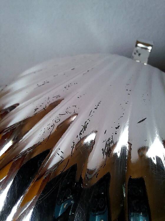 Shell-shaped butter dish in stainless steel