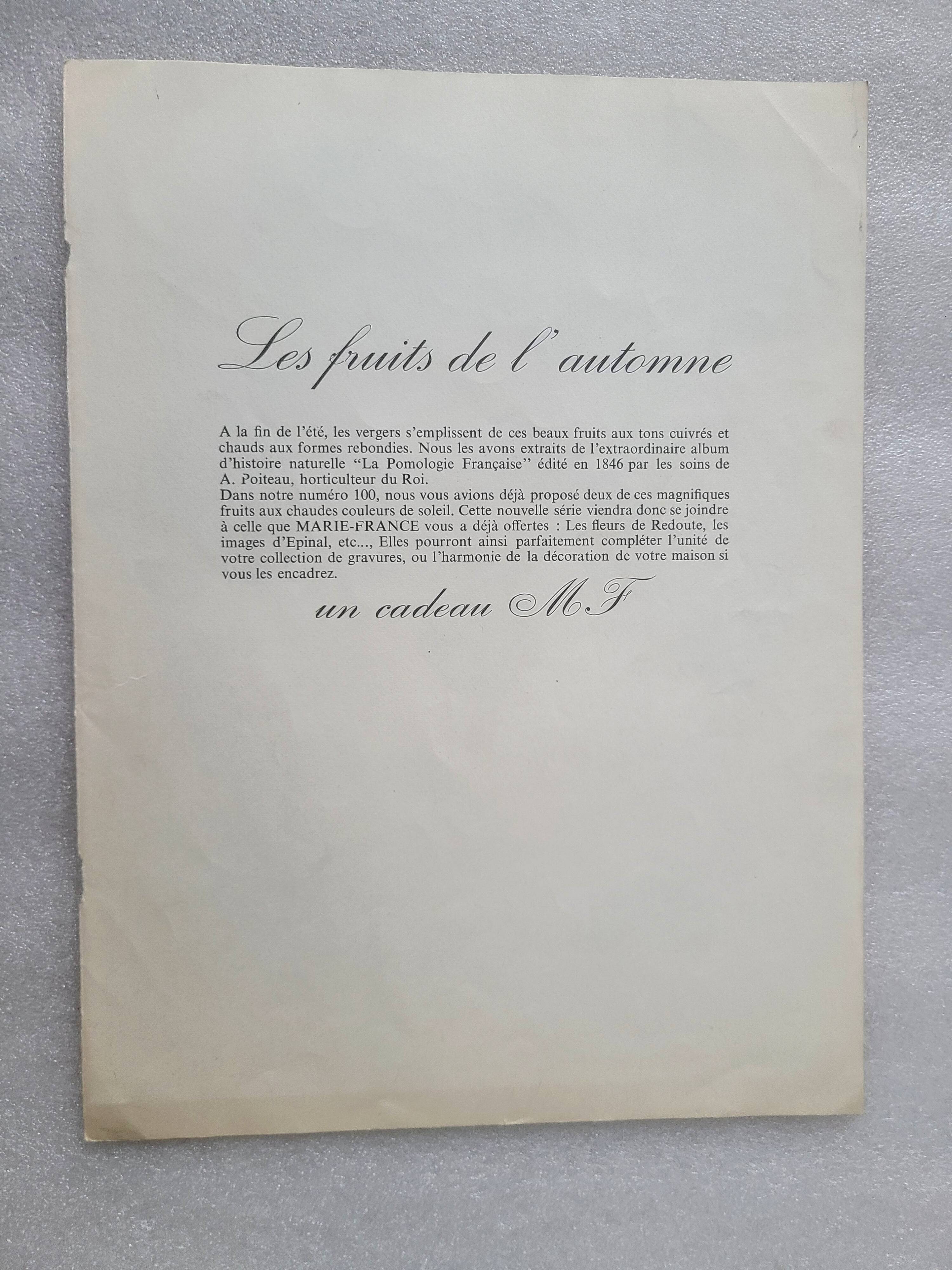 Posters The fruits of the king's garden and the fruits of autumn