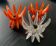 Trio bougeoirs Friedel des années 60