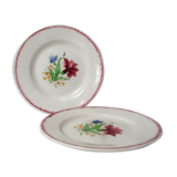 Digoin Sarreguemines 9420 carnation 2 flat plates