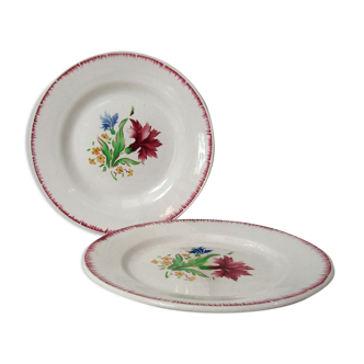 Digoin Sarreguemines 9420 carnation 2 flat plates