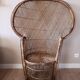 Fauteuil Emmanuelle peacock
