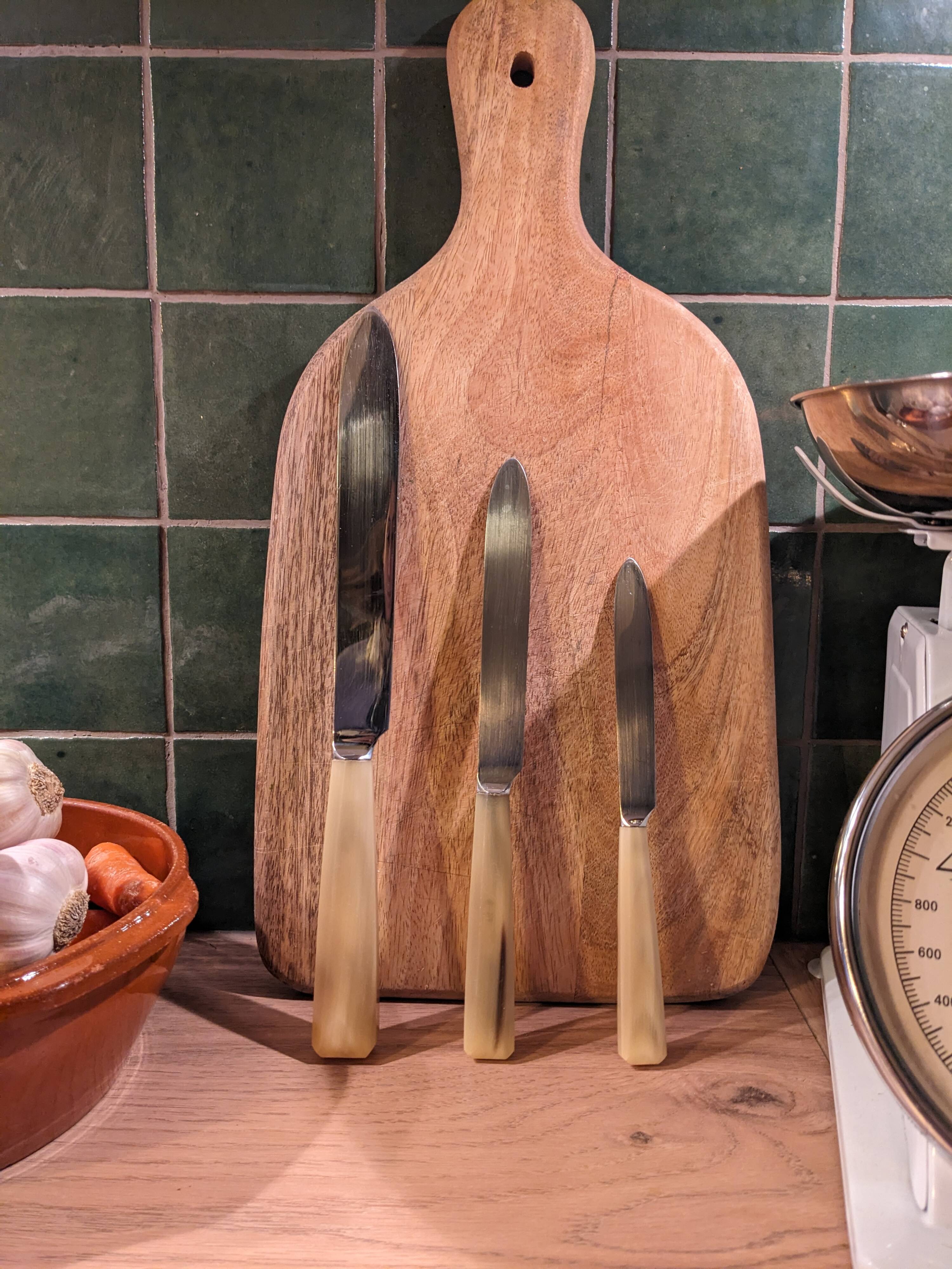 Set of 25 horn and stainless steel knives