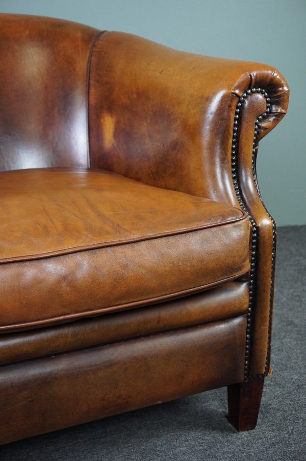 Club armchair in sheepskin