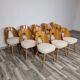 Dining Chairs from Antonin Suman, 1960s, Set of 12