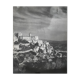 Photographie ancienne noir et blanc argentique début XXe