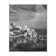 Photographie ancienne noir et blanc argentique début XXe
