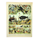 Gravure ancienne 1897 A. Millot - Oiseaux 3, espèces