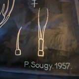 Poster Dr Auzoux, Paul Sougy 1957, No. L THE CRAYFISH