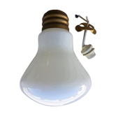 Hanging glass bulb