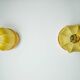 Paire d'appliques "cocoon", Italie, 1970