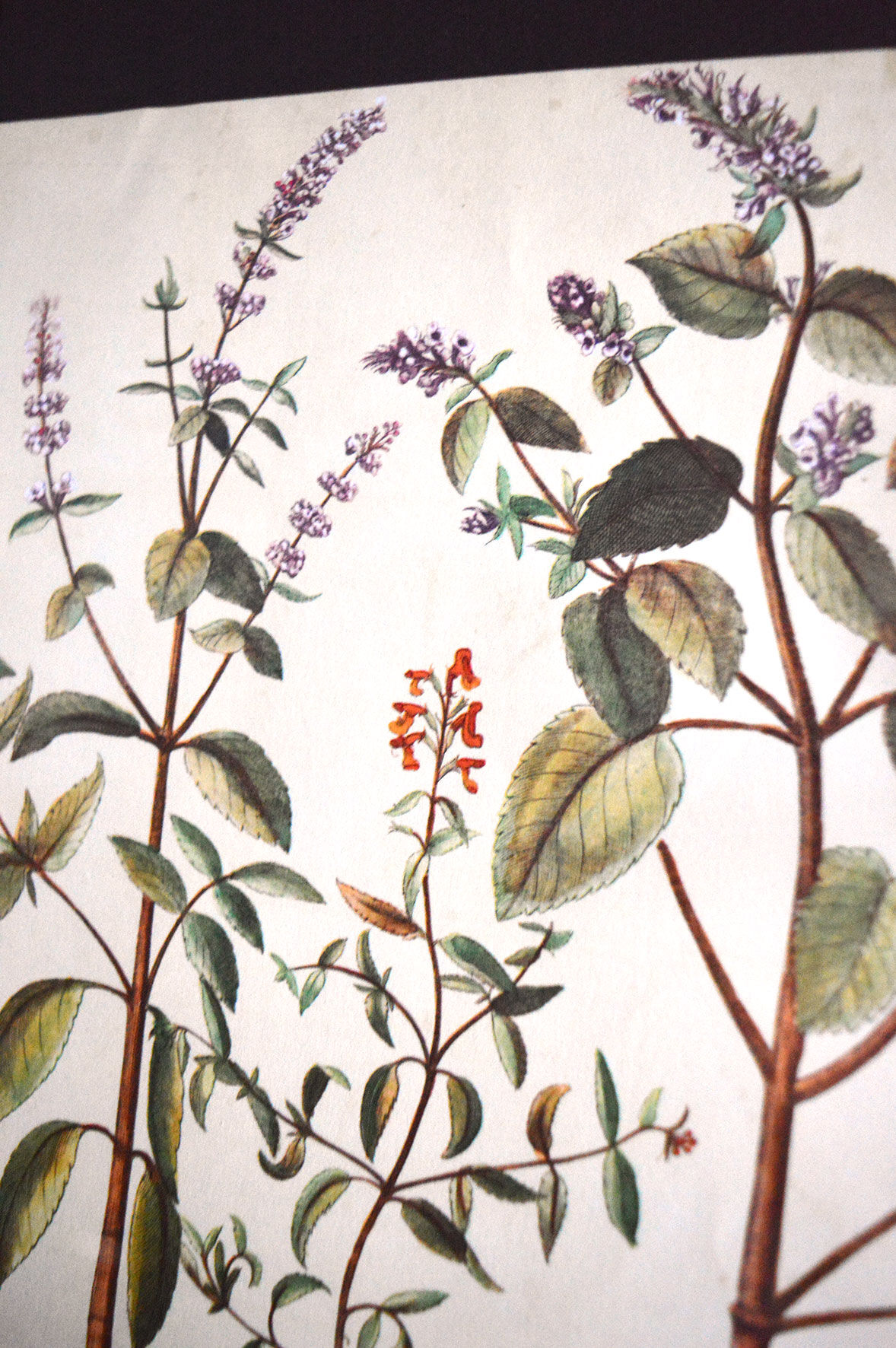 Framed pharmaceutical board