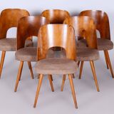 Set of Six Restored Mid-Century Modern Chairs, Beech, Czechia, 1950-1959