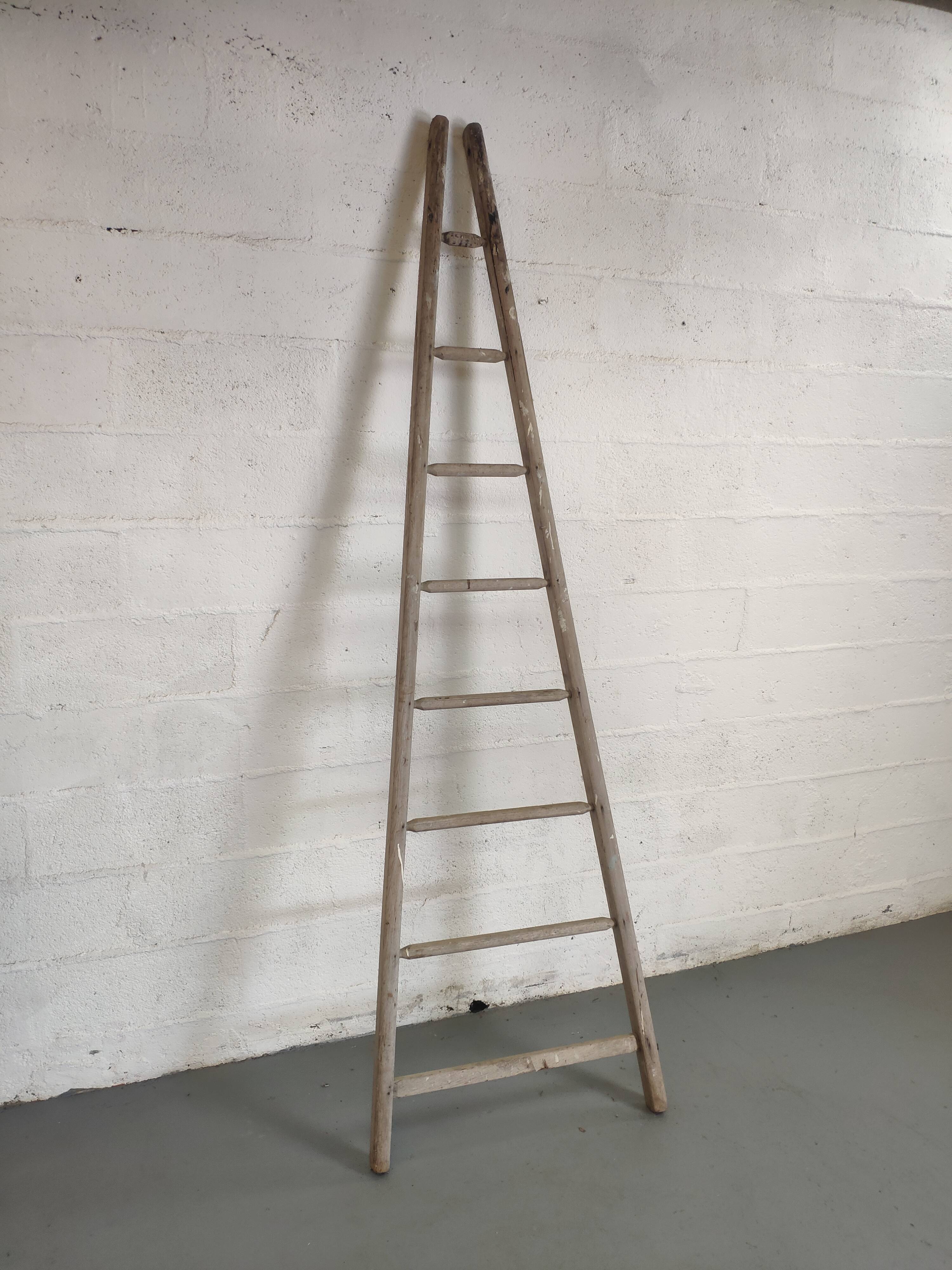 Échelle de fruitier ancienne 2.40m