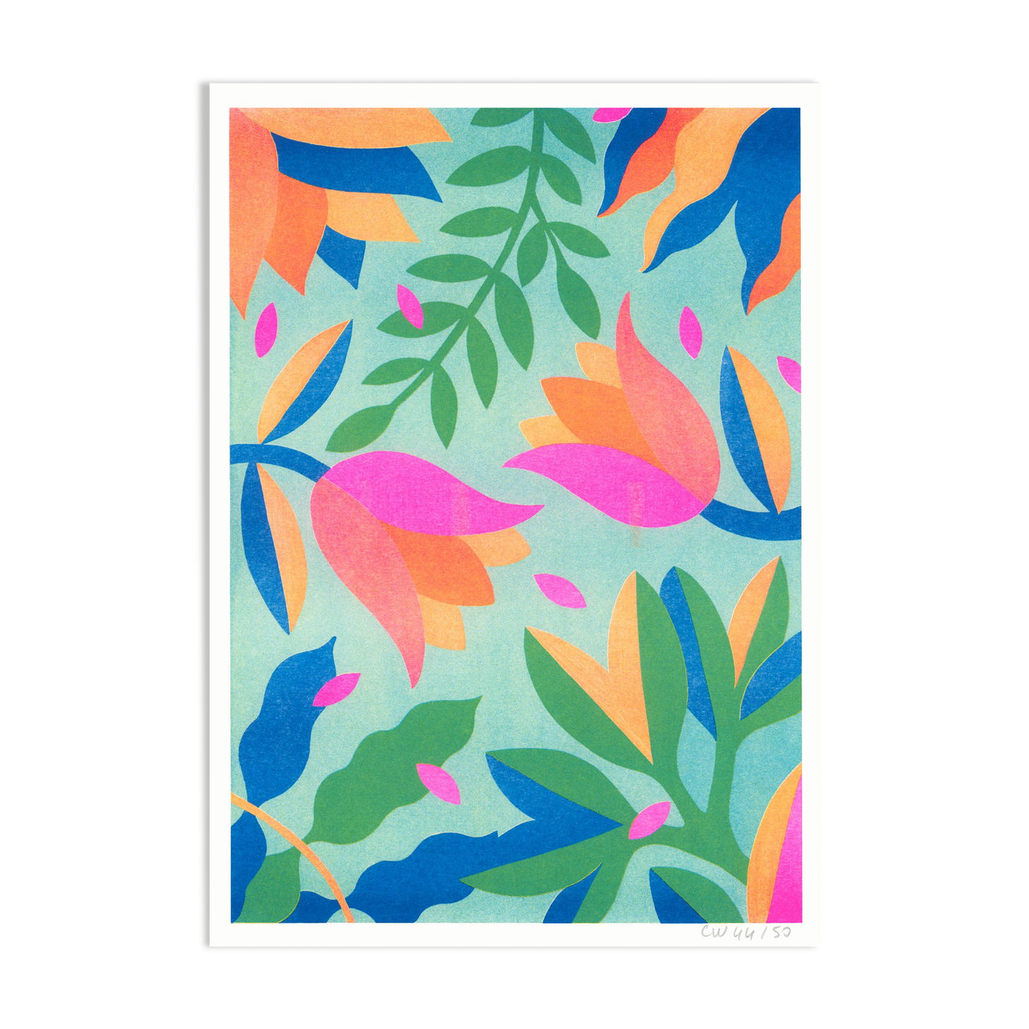 Illustration A4, Tulips, in risography