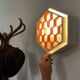Ruffled Wall Light