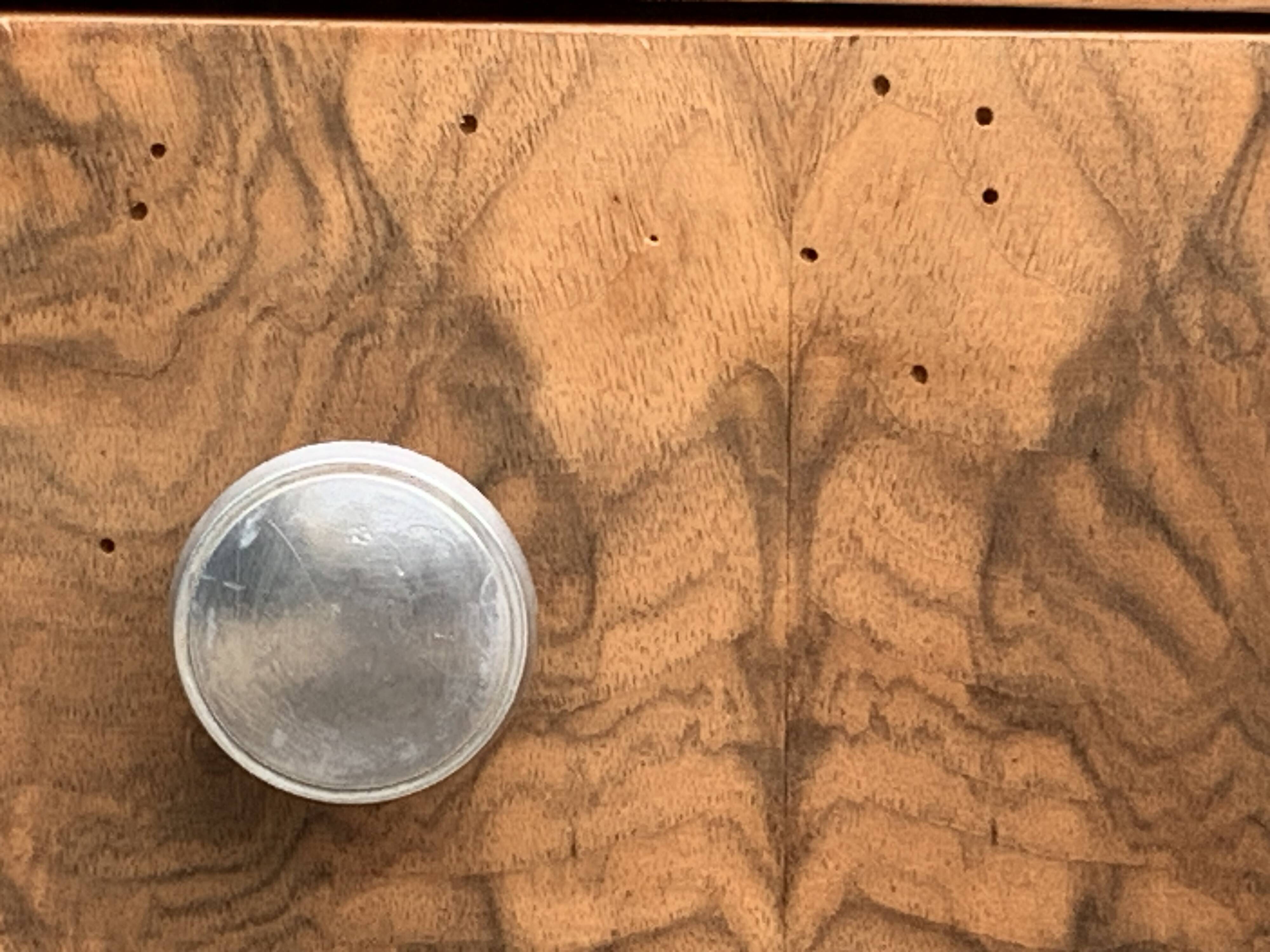 Art Deco chest of drawers in raw walnut burl