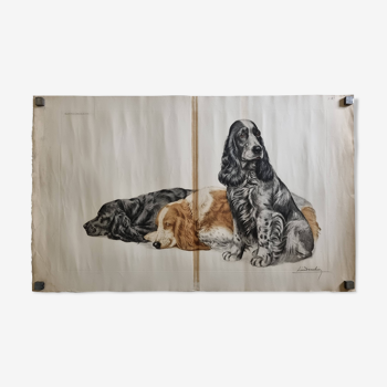 Lithograph by Léon Danchin, three Cocker Spaniel, in color, 99 cm