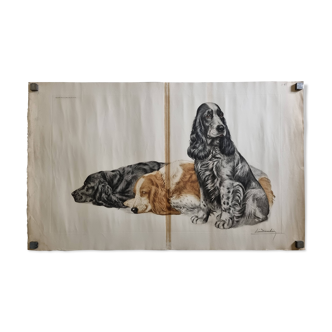 Lithograph by Léon Danchin, three Cocker Spaniel, in color, 99 cm